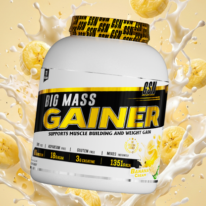 BIG MASS GAINER