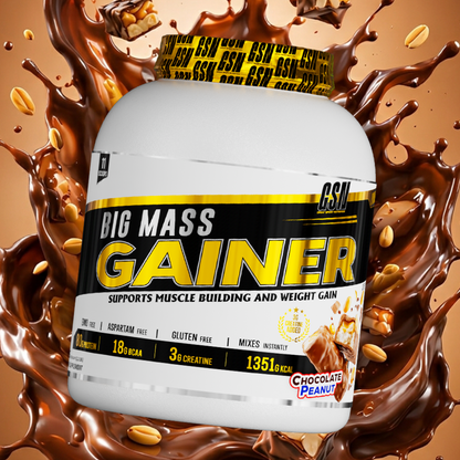 BIG MASS GAINER
