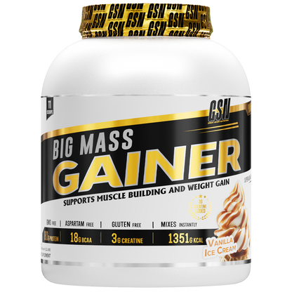 BIG MASS GAINER