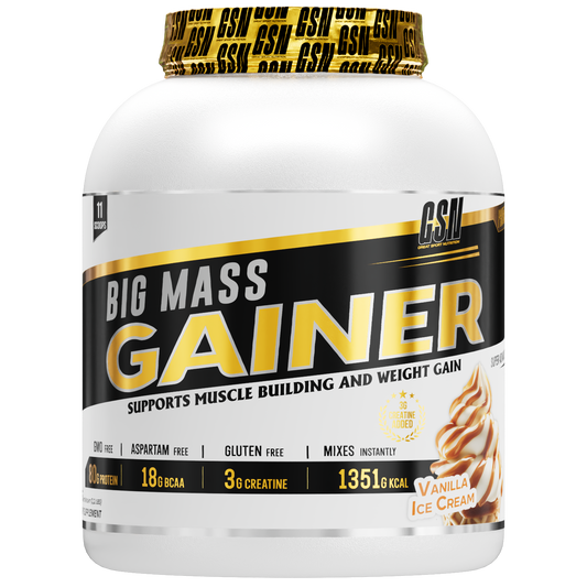BIG MASS GAINER