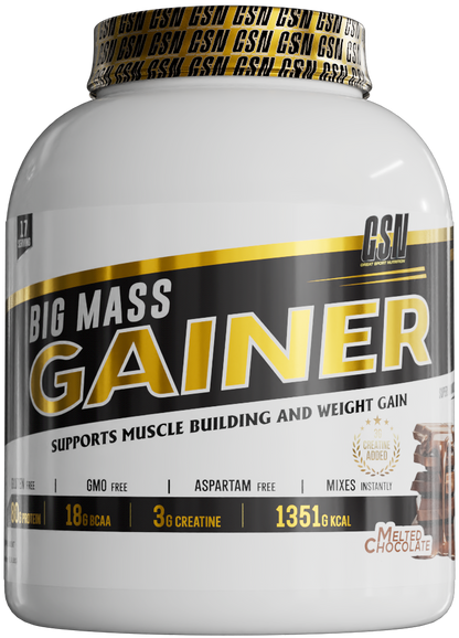 BIG MASS GAINER